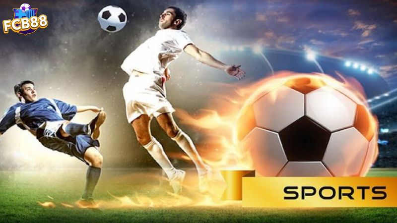Các mẹo cá cược E Sport FCB88 dành cho các cược thủ Các mẹo cá cược E Sport FCB88 dành cho các cược thủ