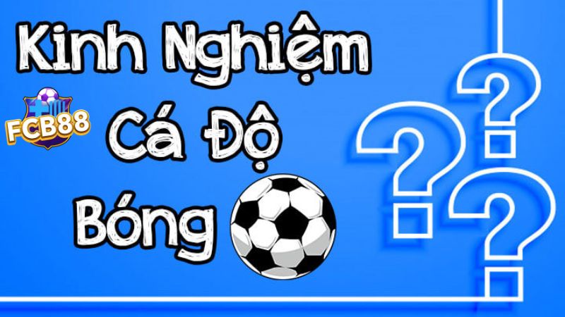 Kinh nghiệm soi kèo bóng đá Châu Á một cách chính xác Kinh nghiệm soi kèo bóng đá Châu Á một cách chính xác