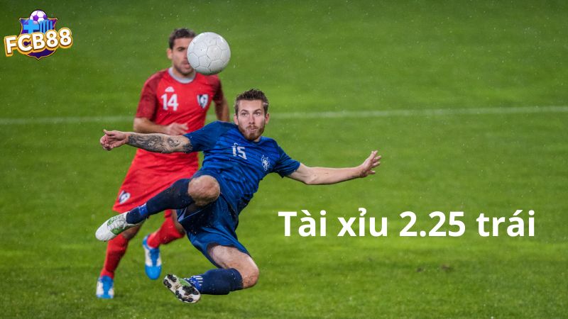 Tỉ lệ tài xỉu 2.25 trái trong bóng đá Tỉ lệ tài xỉu 2.25 trái trong bóng đá