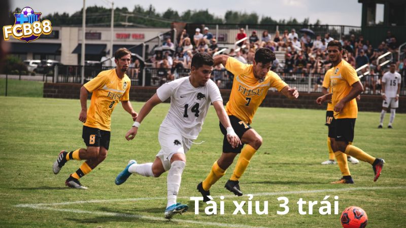 Tài xỉu 3 trái trong cá cược Tài xỉu 3 trái trong cá cược